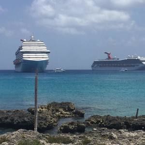 Meet your Posher, Celeste